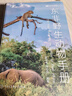 東非野生動物手冊 曬單實拍圖