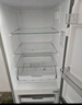 上菱183升雙開門冰箱小型出租房2-3人用 出租屋家用兩門二門小戶型雙門電冰箱以舊換新BCD-183D 曬單實(shí)拍圖