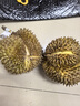 旭霽泰國金枕榴蓮【多地次日達】新鮮巴掌榴蓮整個進口熱帶水果 凈重4-5斤丨包4-6房丨1-2個果 曬單實拍圖