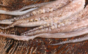 海鼎紀(jì)鮮切魷魚須900g 海鮮 燒烤火鍋 鐵板魷魚 300g/包*3包  曬單實(shí)拍圖