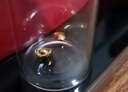菜百首飾 黃金金種子 足金小元寶 單顆 HD 1g（不支持七天無理由退換貨） 曬單實(shí)拍圖