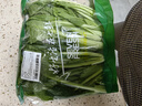 【嫩芽尖尖】小白菜苗（長(zhǎng)度≤24cm）200g 曬單實(shí)拍圖
