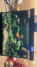 森森金麟超白智能魚(yú)缸小型桌面免換水生態(tài)魚(yú)缸一體缸自循環(huán) 【自動(dòng)喂食】LE-380B+溪流水溶景 曬單實(shí)拍圖
