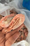 美加佳熟凍北極甜蝦腹籽凈重3斤 90/120規(guī)格  海鮮水產(chǎn) 熟凍甜蝦 曬單實拍圖