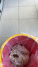 莫維斯蘋果15手機(jī)硬殼磁吸15pro手機(jī)殼透明iPhone15plus無邊框蘋果16promax手機(jī)套外殼超薄男女半包透明 蘋果15promax【高品質(zhì)透明殼】 曬單實(shí)拍圖