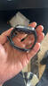 華為HUAWEI WATCH FIT 4 韻律黑氟橡膠表帶 華為運(yùn)動(dòng)智能手表超輕薄大屏潮流運(yùn)動(dòng)藍(lán)牙通話睡眠監(jiān)測(cè)fit4 曬單實(shí)拍圖