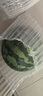 京鮮生 無(wú)籽麒麟大西瓜 1粒裝 7-9斤 生鮮水果 曬單實(shí)拍圖