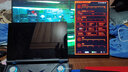 One XPlayerG1迷你電競(jìng)游戲機(jī)Win11 PC游戲掌機(jī)AMD HX370筆記本電腦8.8英寸觸控三合一AI PC輕薄本32G+2T 曬單實(shí)拍圖