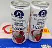 Blue Monkey 越南進口 荔枝果汁氣泡飲料(碳酸飲料) 330ml*16 330mL*16罐 曬單實拍圖
