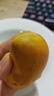 京喜加現(xiàn)采熱帶水果小臺(tái)農(nóng)芒果新鮮  輕微花皮半熟果發(fā)貨 臺(tái)芒5斤單果100克以上 曬單實(shí)拍圖