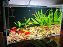 金晶超白魚缸客廳桌面小魚缸玻璃草缸龜缸懶人家用生態(tài)造景水族箱 長(zhǎng)60CM寬30CM高35CM（厚度6MM） 金晶超白魚缸裸缸 曬單實(shí)拍圖