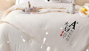 無印良品A類二合一拉鏈子母被 10%大豆纖維被子四季被芯厚4+6斤 200*230cm 曬單實拍圖