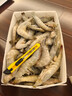 蝦有蝦途青島大蝦無(wú)冰新鮮海蝦白蝦鮮活冷凍大蝦批發(fā)3.6斤凈重 青島大蝦 3.6斤(凈重)  只只分離 18-20cm【超大蝦皇】無(wú)冰 曬單實(shí)拍圖