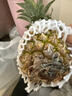 廣東湛江徐聞菠蘿 香水菠蘿 熱帶水果 凈重4.5-5斤 約2-3個(gè) 單果650g起 曬單實(shí)拍圖