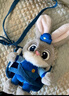 迪士尼（Disney）瘋狂動物城朱迪玩偶斜挎包毛絨玩具女孩生日禮物女七夕情人節(jié)禮物 曬單實(shí)拍圖