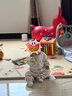 babylove嬰兒連體衣春秋款純棉寶寶哈衣家居服爬服長(zhǎng)袖彩棉新生兒衣服 曬單實(shí)拍圖