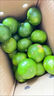 春福樂 新鮮青皮蜜橘【源頭直發(fā)】當季現(xiàn)摘水果云南蜜橘酸橘整箱包郵 5斤親選 | 單果55-65mm凈重4.5斤 曬單實拍圖