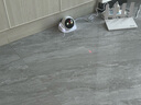 famue Magic S1 全屋移動監(jiān)控攝像頭 遠程遙控家用電子安防 智能機器人可對話 家居老人小孩寵物攝像頭 曬單實拍圖