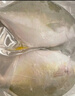 環(huán)球水產(chǎn)冷凍南海金鯧魚2斤/2條 生鮮魚類 火鍋 深海魚 海鮮水產(chǎn) 家庭聚餐 曬單實(shí)拍圖