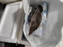 微山湖野生鯽魚(yú)土漁民捕撈活魚(yú)現殺凈膛滋補燉湯400g/袋 中號【4-6條/400g】400g*1袋 曬單實(shí)拍圖