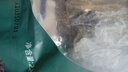 方家鋪子中華老字號 海帶干220g/袋 深海寬葉南日干海帶 火鍋燙菜涼拌燉湯 曬單實拍圖