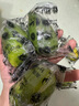 京鮮生 海南無籽香水檸檬 8粒裝 單果70g+ 源頭直發(fā)包郵 曬單實拍圖