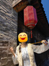 熊貓相伴羊毛馬甲女士秋冬季外穿保暖背心時(shí)尚洋氣款高檔2024新款加絨加厚 曬單實(shí)拍圖