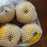 京地達(dá)碭山早熟秋月梨凈重5斤大果約400g 新月蜜梨香梨子 源頭直發(fā) 包郵 曬單實(shí)拍圖