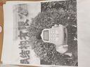張雪峰高考真題源作文源素材一材多用2025版峰閱萬卷掌握9大作文題源考場(chǎng)3步輕松成文 【套裝2冊(cè)】“源”作文+“源”素材 曬單實(shí)拍圖