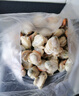 初鮮大號冷凍帶黃扇貝肉凈重2斤約80-120顆燒烤火鍋食材海鮮水產(chǎn)聚餐 曬單實(shí)拍圖