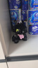 樂(lè )高（LEGO）積木玩具 ICONS系列 10375 馴龍高手:沒(méi)牙仔 18歲+生日禮物送女友 曬單實(shí)拍圖