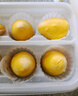 西貝莜面村紅豆玉米窩窩頭260g*2共16個 粗糧雜糧主食 早餐面點 兒童 包子 曬單實拍圖