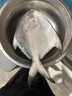 冰凌橙夏 東海大白鯧魚新鮮海捕特大號銀鯧魚白鯧魚無冰衣平魚海鮮生鮮 無冰大白鯧 2條（8兩-1斤/條） 曬單實(shí)拍圖