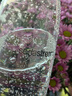 sodastream 氣泡水機 家用自制蘇打水機 臺式可樂粒碳酸汽水機蘇打水制作器巴黎水 白Fizz 1水瓶  1定制氣瓶 送1次充氣服務(wù) 曬單實拍圖