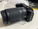 尼康（Nikon）尼克爾 Z DX 50-250mm f/4.5-6.3 VR 半畫幅 遠攝變焦微單相機鏡頭 尼康Z卡口 保稅倉 快可次日達 曬單實拍圖