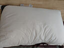 HILTON希爾頓好睡枕pro 抗菌成人頸椎護(hù)頸家用纖維枕頭芯 48*74cm 中枕 曬單實拍圖