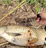 射魚(yú)眼鏡技術(shù)釣魚(yú)看漂偏光眼鏡男高清湖泊射魚(yú)捕魚(yú)開(kāi)車(chē)變色眼鏡 日夜兩用釣魚(yú)眼鏡 曬單實(shí)拍圖