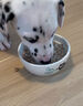 皇家狗糧 幼犬狗糧幼犬奶糕寵物中型犬MEJ32 全價(jià)犬糧 2-12月 4KG 曬單實(shí)拍圖
