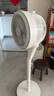 美的（Midea）空氣循環(huán)扇電風(fēng)扇落地扇立式輕音節(jié)能家用風(fēng)扇低噪大風(fēng)量轉(zhuǎn)頁扇臥室宿舍搖頭循環(huán)輕羽扇國(guó)家補(bǔ)貼 【整屋循環(huán) 四季可用】FGA24TS 曬單實(shí)拍圖