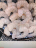 蝦仁冷凍去蝦線(xiàn)1500g 蝦類(lèi)生鮮青蝦仁白蝦仁袋裝 500g*3袋裝 曬單實(shí)拍圖
