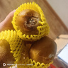 佳沛（zespri）新西蘭陽光金奇異果原箱 16粒巨無霸 單果重約202-230g   獼猴桃 曬單實(shí)拍圖