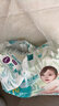 幫寶適（Pampers）綠幫 清新幫 拉拉褲 嬰兒尿不濕成長(cháng)褲 清新幫L104片 曬單實(shí)拍圖