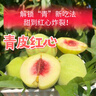 京覓秭歸青皮紅心脆蜜桃凈重4.5斤單果150-220g軟硬兩吃 源頭直發(fā)包郵 曬單實(shí)拍圖