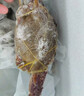 梭子蟹鮮活特大野生舟山大螃蟹海鮮新鮮冷凍海蟹水產(chǎn)飛蟹白蟹 【大號梭子蟹】7-9兩/只凈重5斤 曬單實拍圖