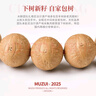 木醉【朝圣系列】2025年新籽鳳眼菩提手串男士文玩佛珠菩提子七夕禮物 【朝圣系列】12+mm S級(jí) 曬單實(shí)拍圖