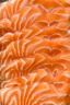 深?lèi)倓?挪威冰鮮三文魚(yú)刺身（大西洋鮭魚(yú)）中段純肉 即食生魚(yú)片鮭魚(yú)切片 【魚(yú)腩】 400g 曬單實(shí)拍圖