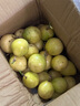 果益壽廣西欽蜜9號(hào)黃金百香果 新鮮水果白香果醬原漿整箱 30個(gè)裝 【單果30g以下】嘗鮮裝 曬單實(shí)拍圖