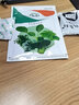 大禹雞腿芥蘭種子苗芥藍菜籽白花芥菜秋秋季蔬菜家庭 肥翠七號（雞腿芥蘭）種子30g2包 曬單實拍圖