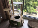 貝初眾貓爬架貓窩加粗大型貓樹(shù)一體太空艙貓架子小戶(hù)型不占地麻繩貓玩具 綠野仙蹤【單倉單窩】99cm-五層太空艙 【豪華全景太空艙】新升級更穩固 曬單實(shí)拍圖