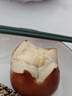 鮮京采黑巧酪酪巧克力蛋糕 6寸（6塊裝420g）冰淇淋蛋糕巧克力蛋糕 曬單實拍圖